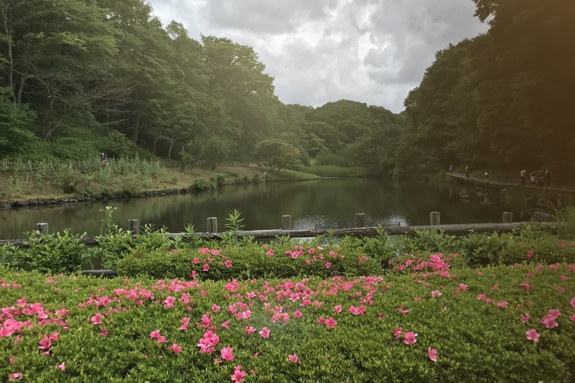 てくてく婚活ウォーキング 散歩 散策 アウトドアイベント 横浜 四季の森