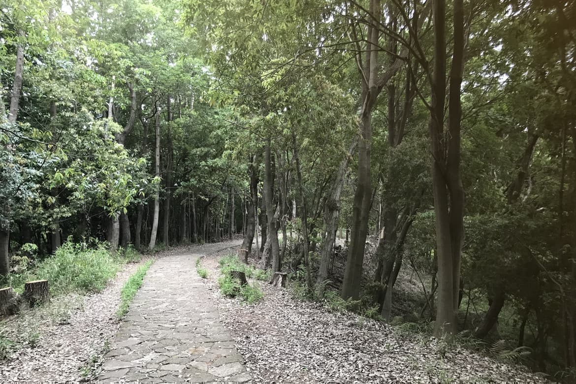 てくてく婚活ウォーキング 散歩 散策 アウトドアイベント 横浜 四季の森