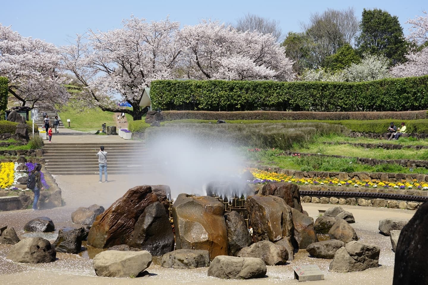 てくてく婚活ウォーキング 散歩 散策 アウトドアイベント 横浜 四季の森
