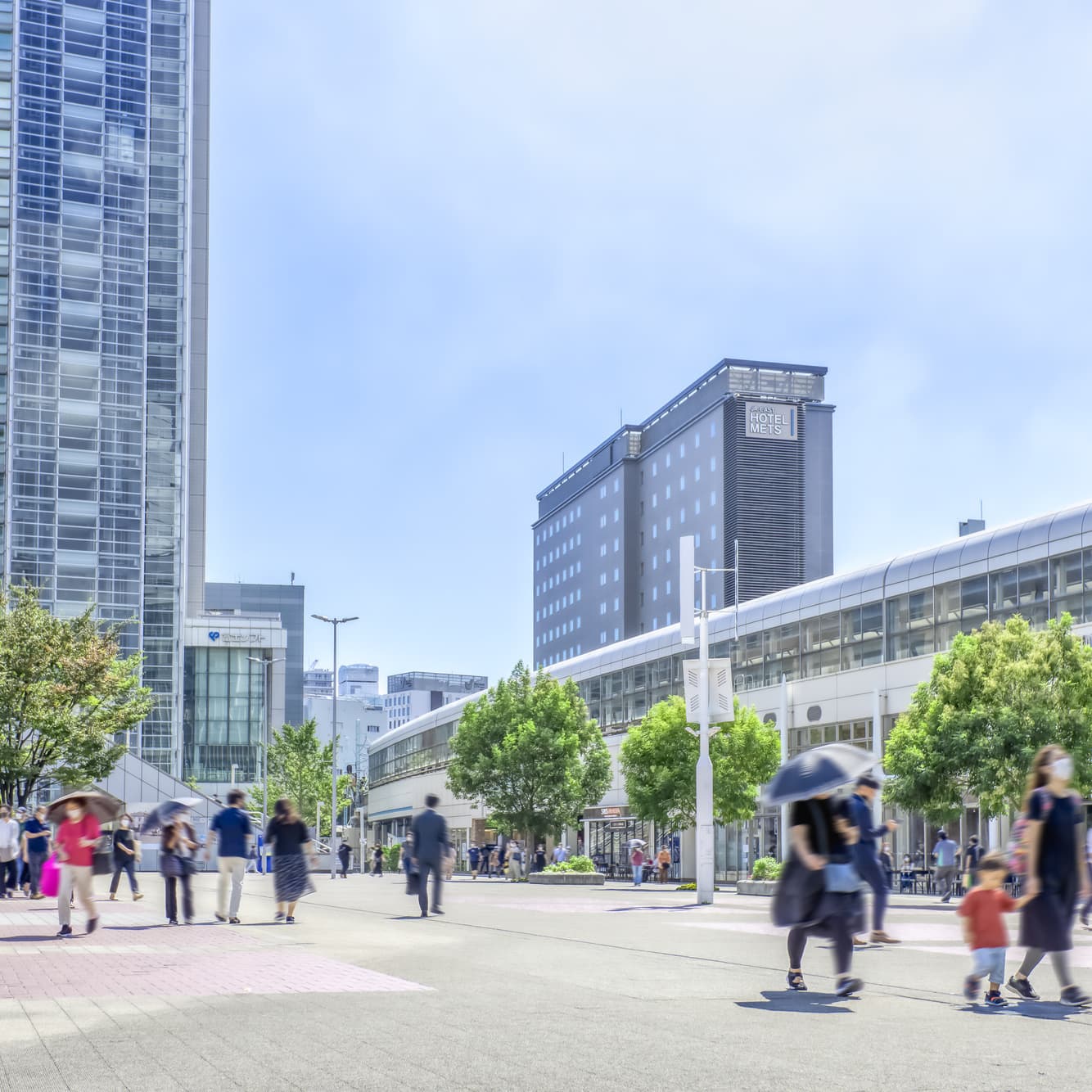 神奈川県 横浜市 野毛山動物園 てくてく婚活ウォーキング 散歩 散策 アウトドアイベント