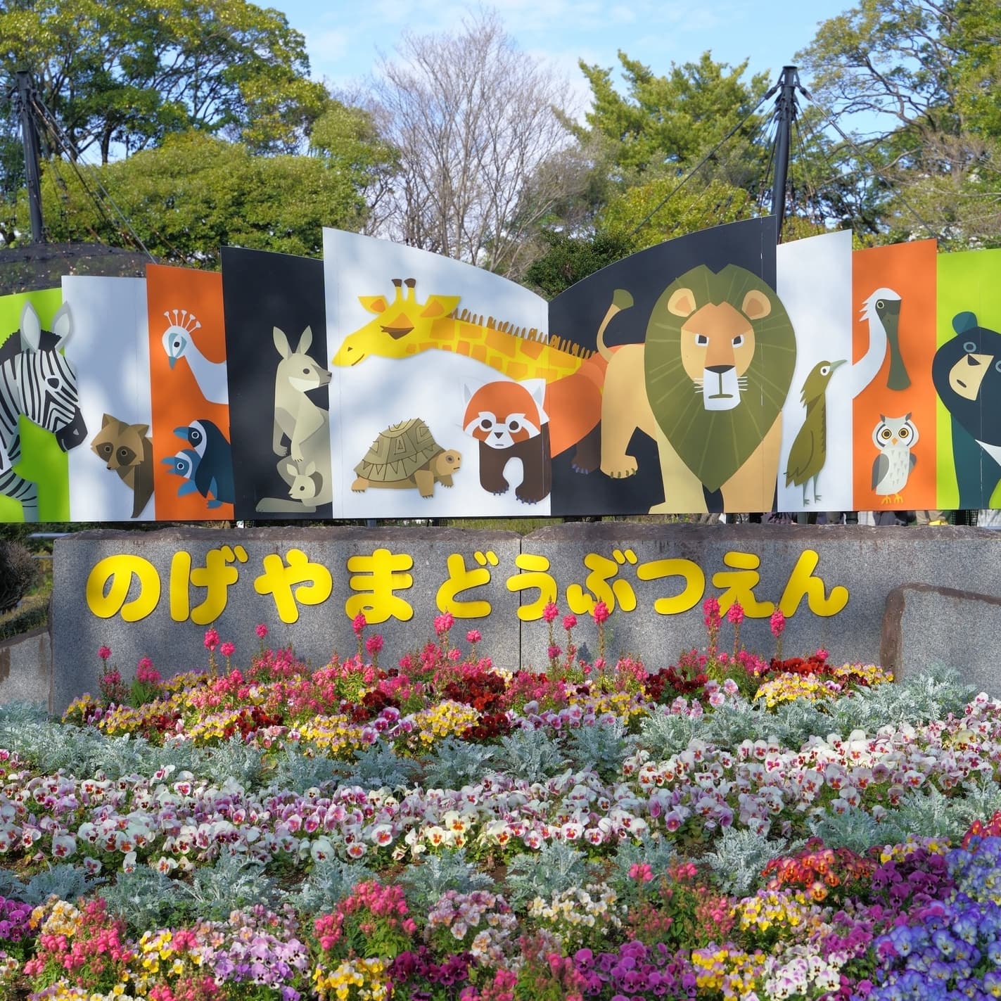 神奈川県 横浜市 野毛山動物園 てくてく婚活ウォーキング 散歩 散策 アウトドアイベント