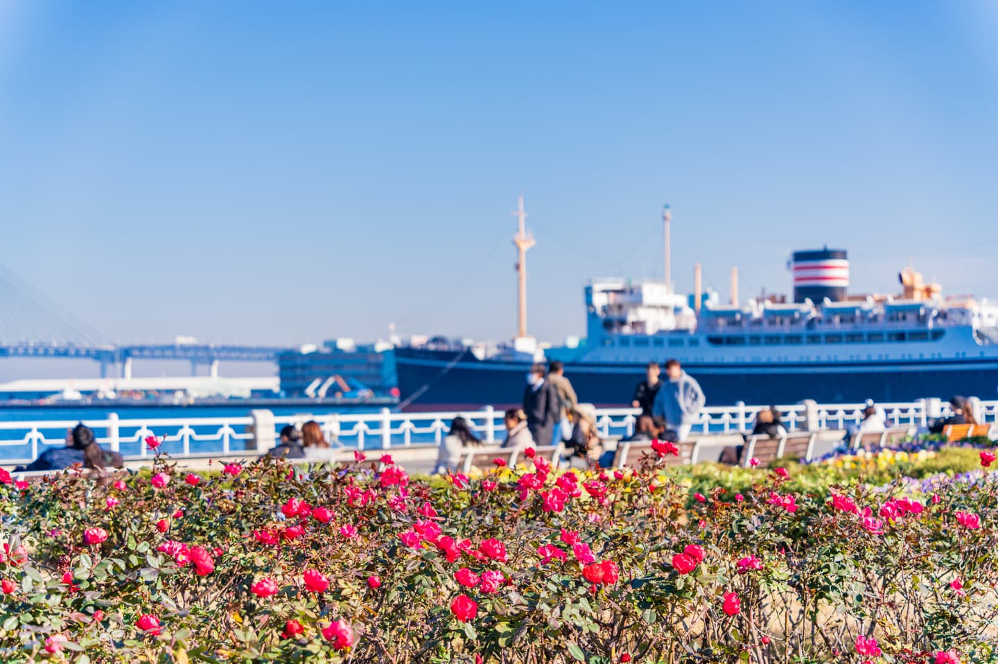 てくてく婚活ウォーキング 横浜 神奈川県 山下公園 みなとみらい 散歩 散策 アウトドアイベント