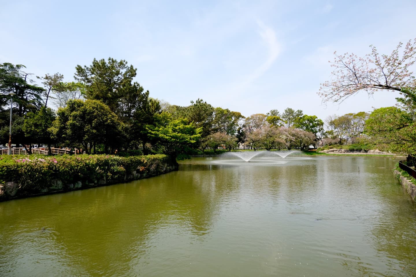 婚活ウォーキング 愛知県 名古屋 名古屋城 名城公園 散歩 散策 アウトドアイベント