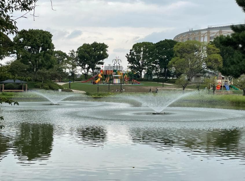 婚活ウォーキング 愛知県 名古屋 名古屋城 名城公園 散歩 散策 アウトドアイベント