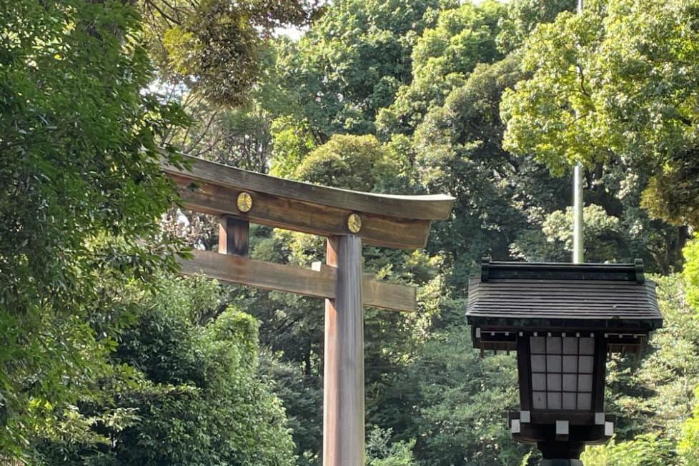 婚活ウォーキング東京タワー芝公園散歩散策