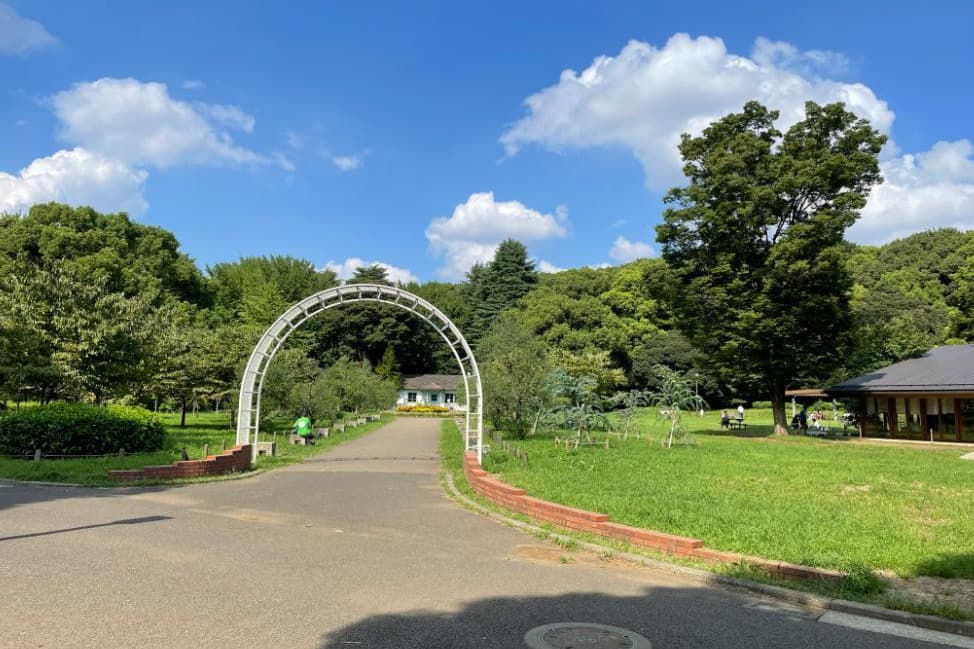 婚活ウォーキング東京タワー芝公園散歩散策