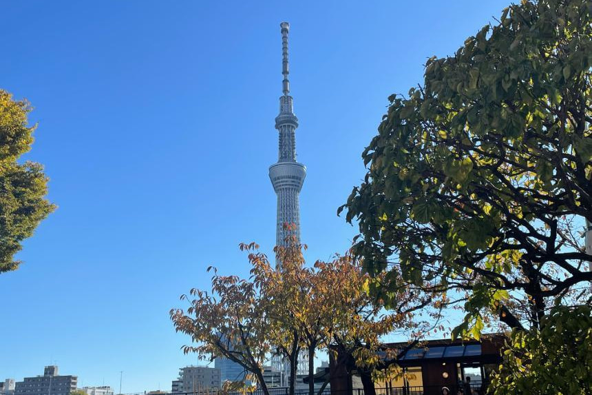東京スカイツリー 婚活パーティーウォーキング 散歩 散策 出会い結婚