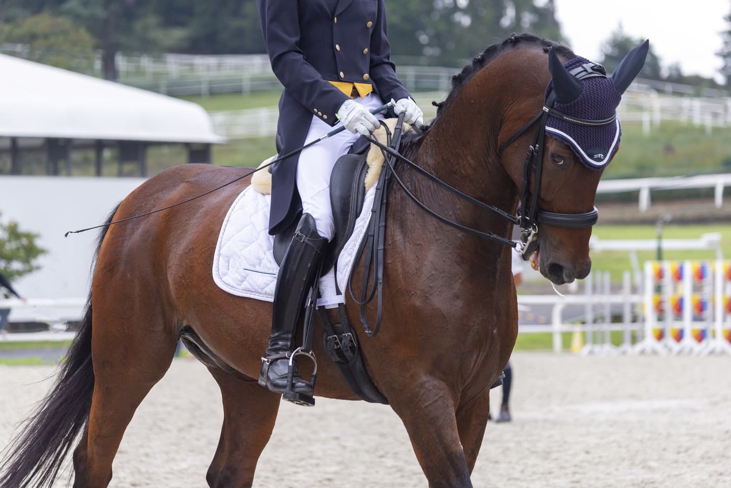 東京 JRA馬事公苑 世田谷区 婚活パーティーウォーキング 散歩 散策 神奈川県 出会い結婚