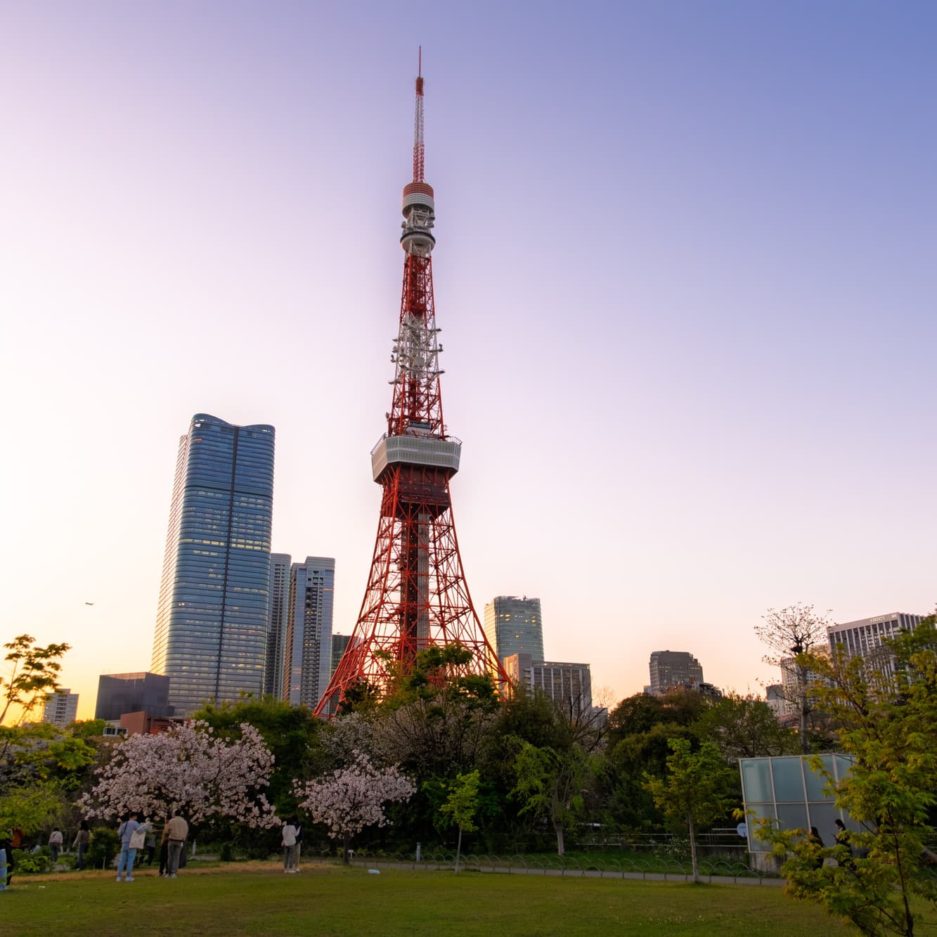 婚活ウォーキング東京タワー芝公園散歩散策